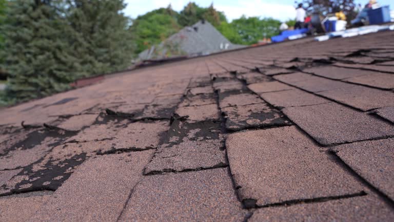 Roof Insulation in Bradley Gardens, NJ